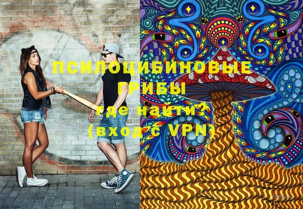 трава Абаза