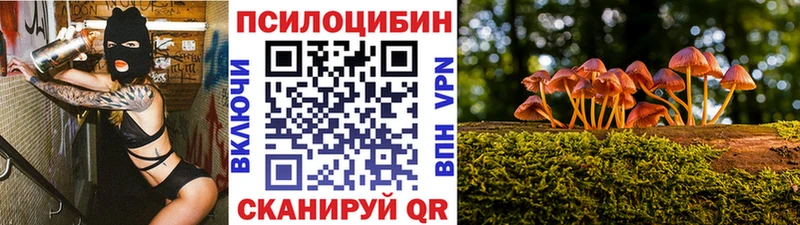 купить закладку  гидра зеркало  Псилоцибиновые грибы мухоморы  Нижнекамск 